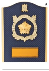 警察・消防 表彰盾 名入れ Gold Star D090 D（210×160mm）