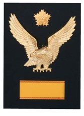 警察・消防 表彰盾 名入れ Gold Star D091 D（260×190mm）