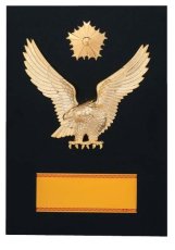 警察・消防 表彰盾 名入れ Gold Star D091 G（180×120mm）