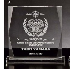 オプティカルガラス 表彰盾 名入れ Gold Star PJ302 A（210×220mm）
