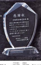 オプティカルガラス 表彰盾 名入れ Gold Star PJ312 A（175×105mm）