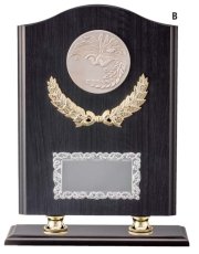 表彰盾 名入れ MAレリーフ Gold Star V113 B（300×235mm）