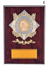表彰盾 名入れ MBレリーフ Gold Star V119 C（300×210mm）