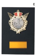 表彰盾 名入れ MBレリーフ Gold Star V120 C（300×210mm）