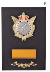 表彰盾 名入れ MBレリーフ Gold Star V120 D（260×190mm）
