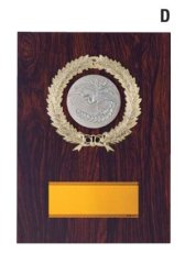 表彰盾 名入れ MBレリーフ Gold Star V121 D（(260×190)mm）