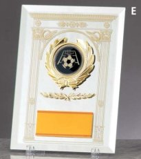 表彰盾 名入れ MX・CL・BKレリーフ Gold Star V124 E（230×170mm）