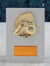 表彰盾 名入れ 樹脂競技レリーフ Gold Star V149 F（210×150mm）